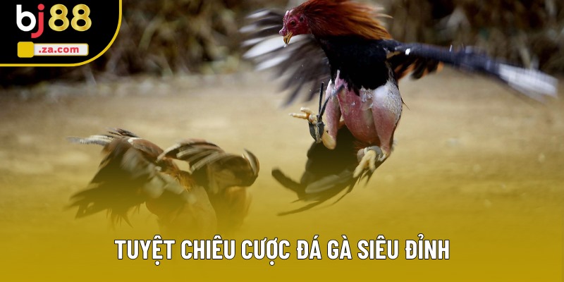 Tuyệt chiêu cược đá gà siêu đỉnh