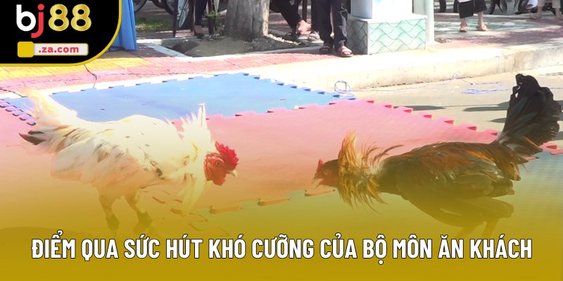 Điểm qua sức hút khó cưỡng của bộ môn ăn khách Điểm qua sức hút khó cưỡng của bộ môn ăn khách