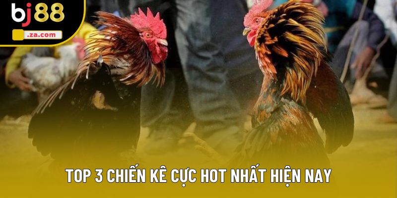 Top 3 chiến kê cực hot nhất hiện nay Top 3 chiến kê cực hot nhất hiện nay